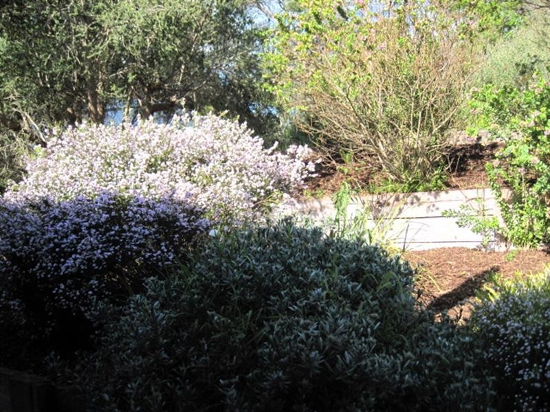 5 Kent Road, Rye VIC 3941