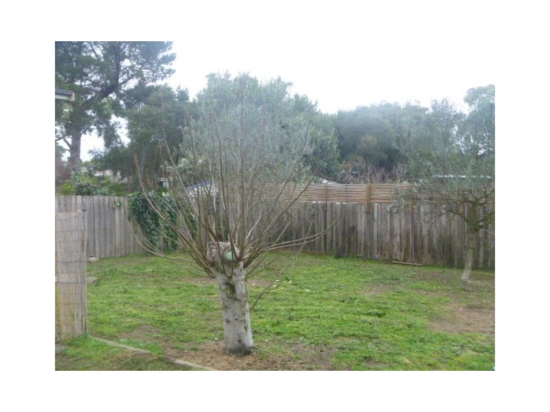 57 Russell Street, Tootgarook VIC 3941