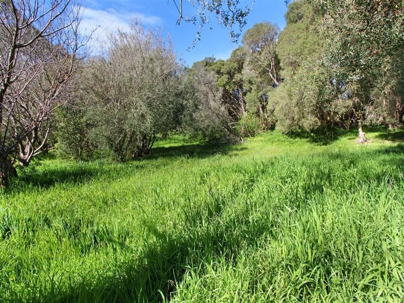 43 Felecia Street, Rye VIC 3941