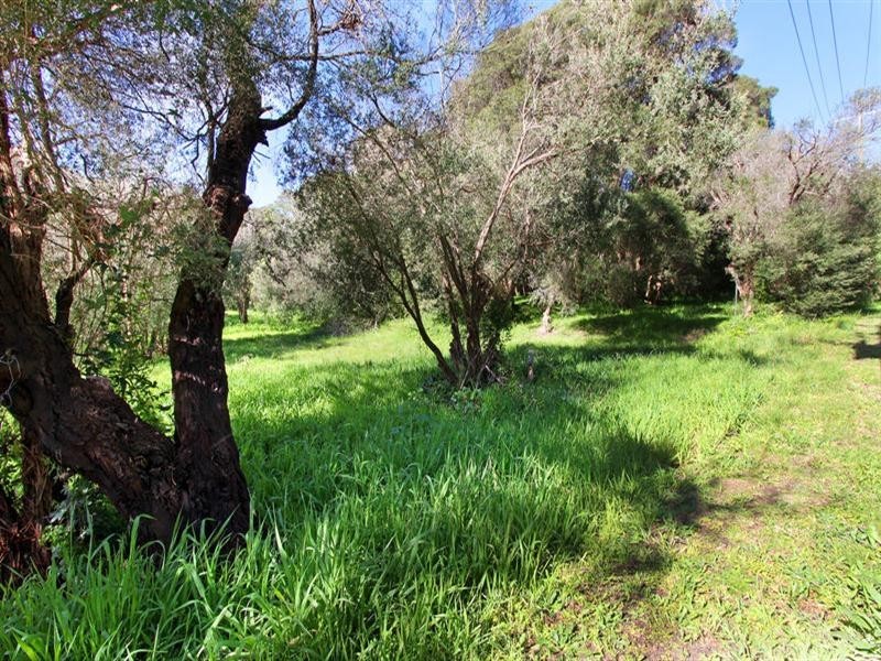 43 Felecia Street, Rye VIC 3941