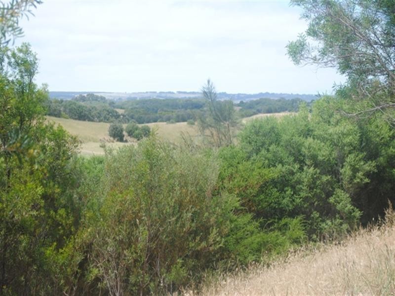 11 Old Tom Morris Lane, Fingal VIC 3939