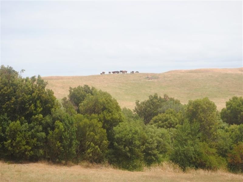 11 Old Tom Morris Lane, Fingal VIC 3939