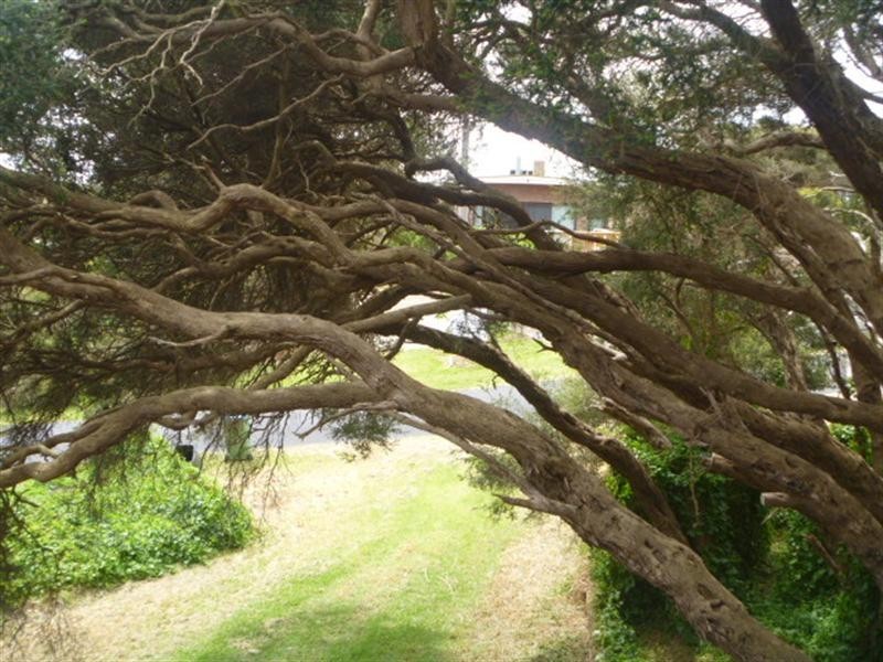 144 Bass Meadows Boulevard, St Andrews Beach VIC 3941