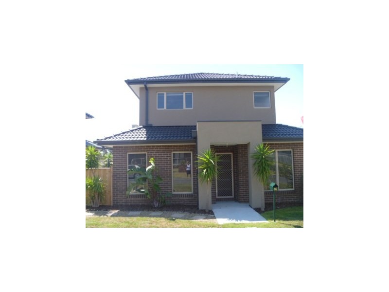 16 Davey Avenue, Dromana VIC 3936