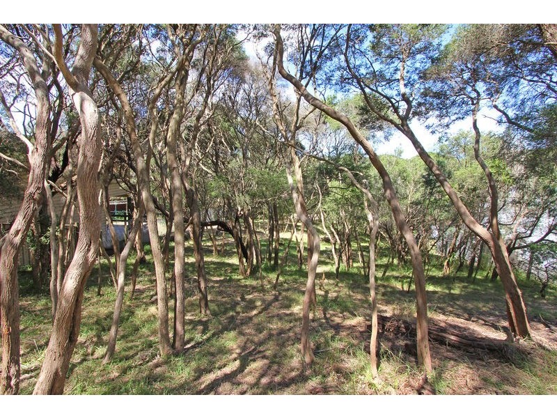 97 Francis Street, Rye VIC 3941