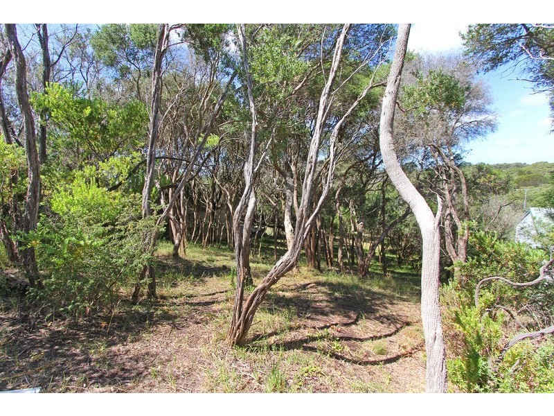 97 Francis Street, Rye VIC 3941