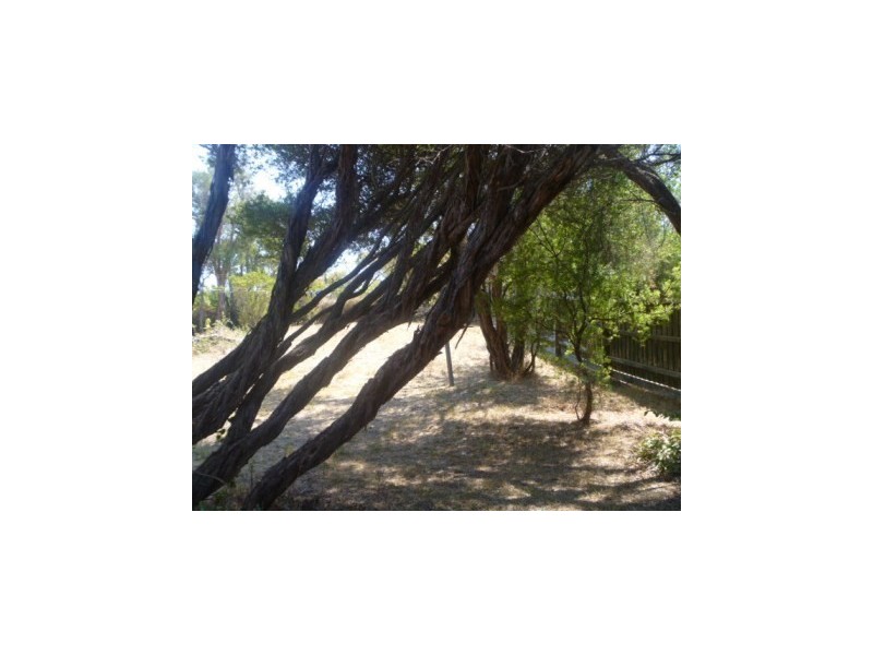 88 Brights Drive, Rye VIC 3941