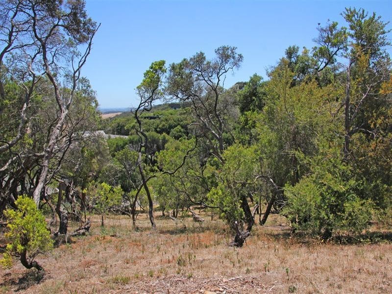 10 Coppin Court, Cape Schanck VIC 3939