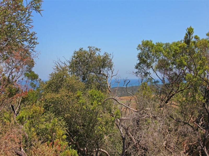 10 Coppin Court, Cape Schanck VIC 3939