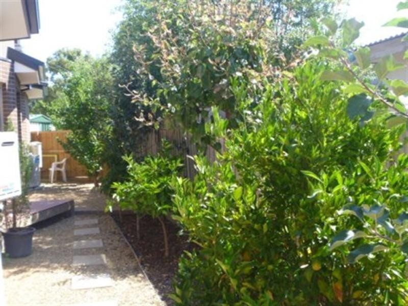 20 Davey Avenue, Dromana VIC 3936