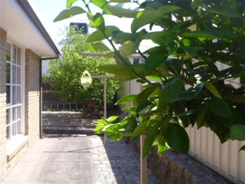 2A Waratah Street, Rye VIC 3941