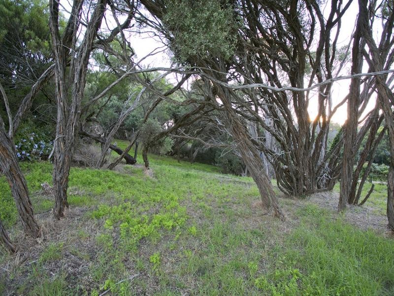 33 Marcia Avenue, Rye VIC 3941