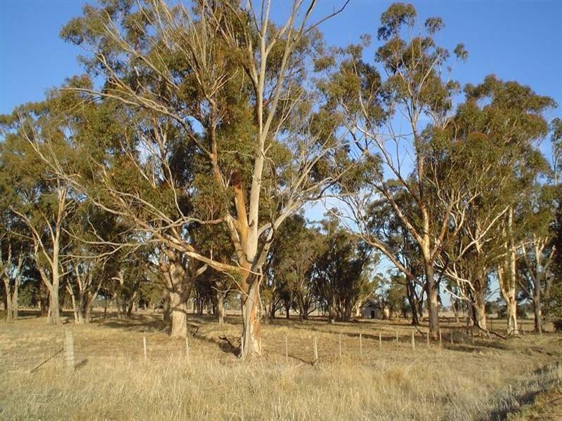 Pelluebla – Benalla Road, Yarrawonga VIC 3730
