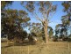 Pelluebla – Benalla Road, Yarrawonga VIC 3730