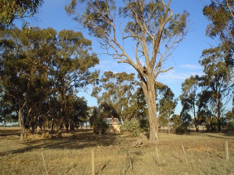 Pelluebla – Benalla Road, Yarrawonga VIC 3730