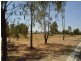 Mulwala NSW 2647