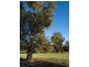 Mulwala NSW 2647