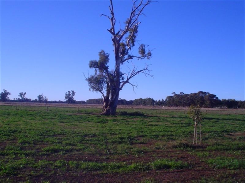Mulwala NSW 2647