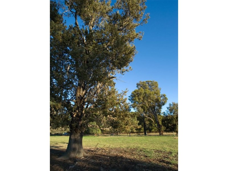 1B Riverland Gardens, Mulwala NSW 2647