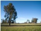 1B Riverland Gardens, Mulwala NSW 2647