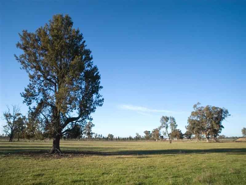 1B Riverland Gardens, Mulwala NSW 2647