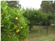 Yarrawonga VIC 3730
