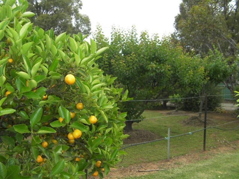 Yarrawonga VIC 3730