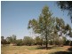 Yarrawonga VIC 3730