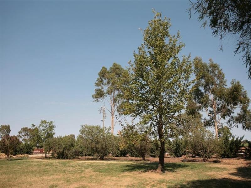 Yarrawonga VIC 3730