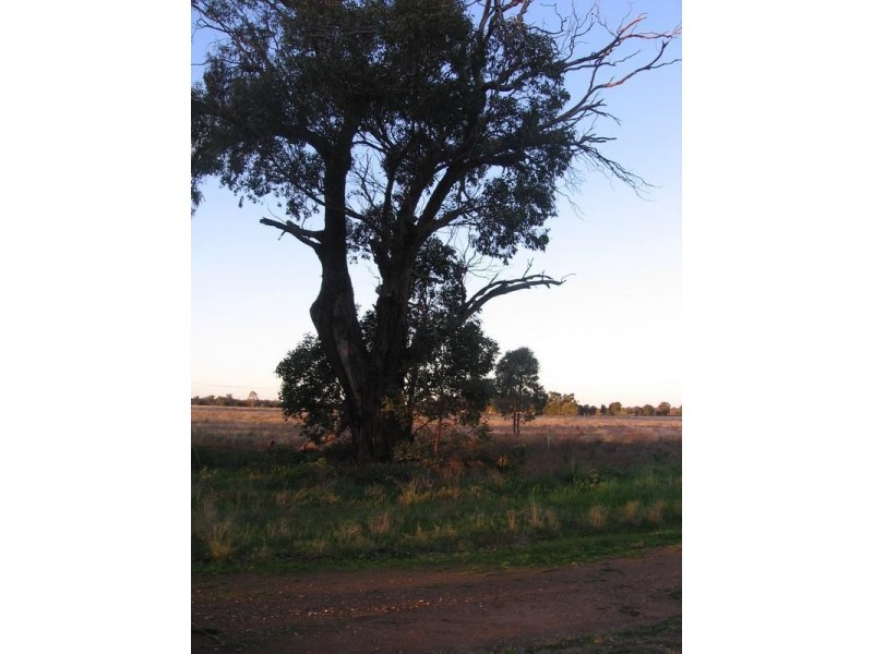 Yarrawonga VIC 3730