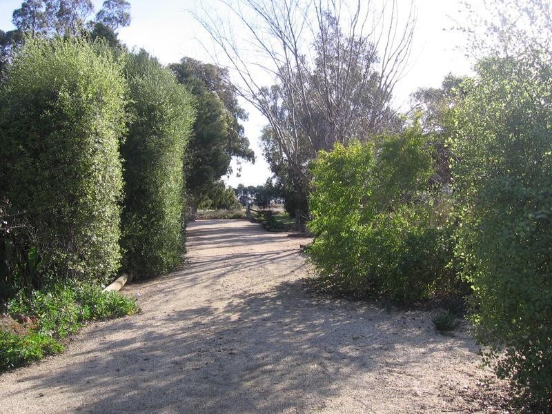 Savernake NSW 2646
