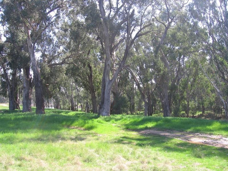 Yarrawonga VIC 3730