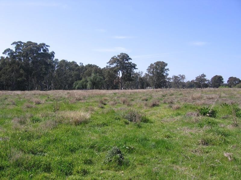 Yarrawonga VIC 3730