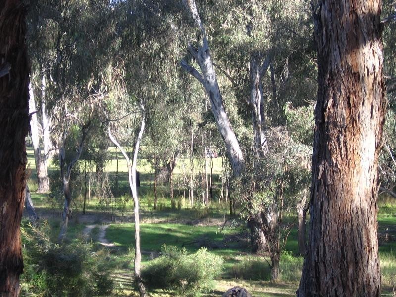 Mulwala NSW 2647
