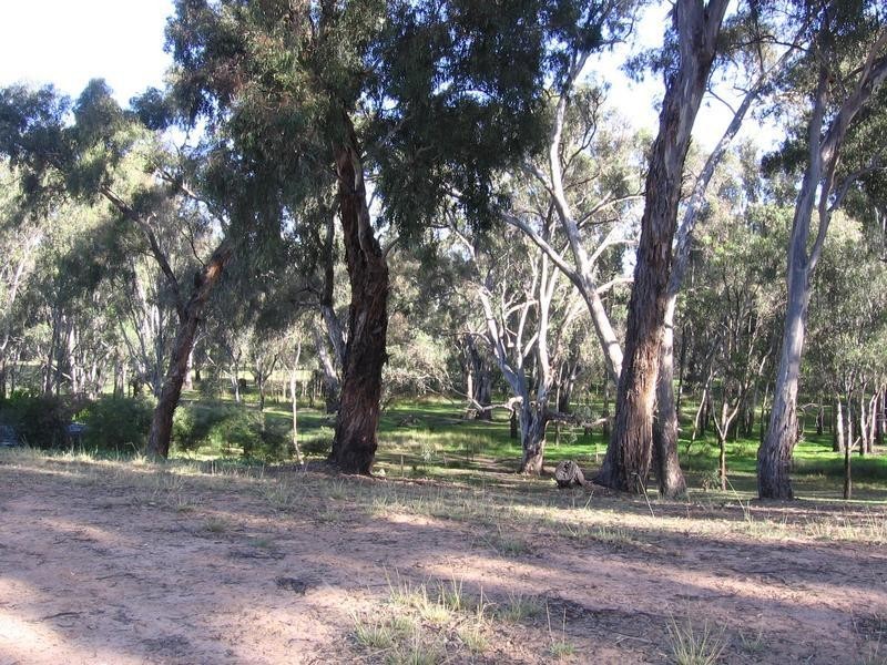 Mulwala NSW 2647