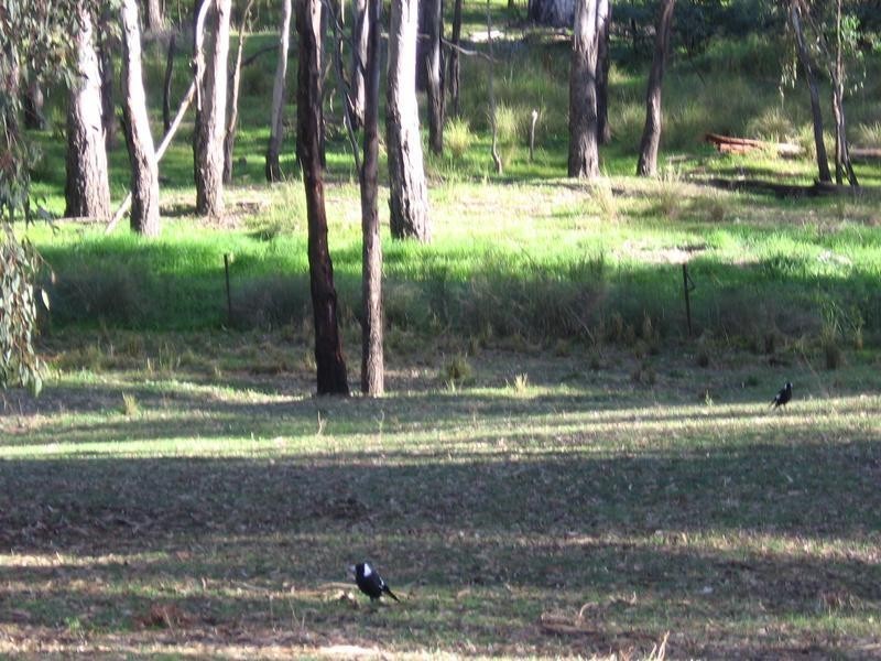 Mulwala NSW 2647