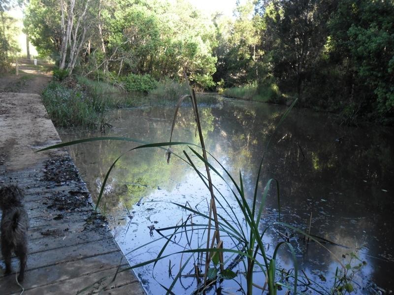 72 Wust Road, Cooroy QLD 4563