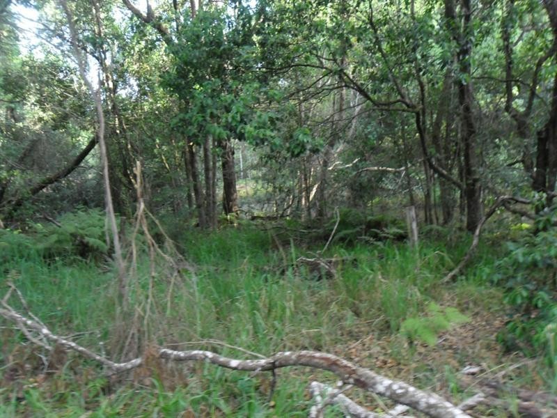 72 Wust Road, Cooroy QLD 4563