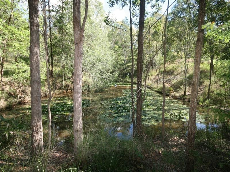 403 Happy Jack Creek Road, Carters Ridge QLD 4563