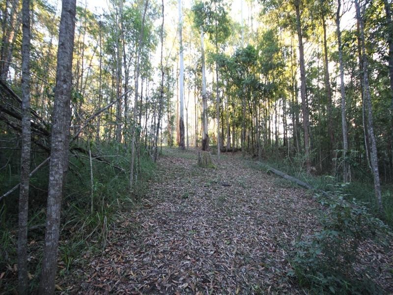 24 Koala Crescent, Lake Macdonald QLD 4563