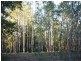 24 Koala Crescent, Lake Macdonald QLD 4563