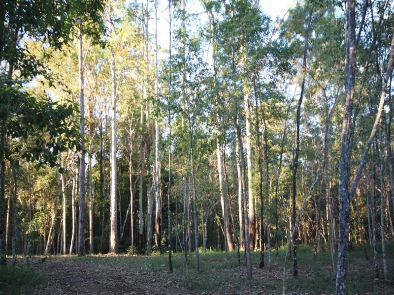 24 Koala Crescent, Lake Macdonald QLD 4563