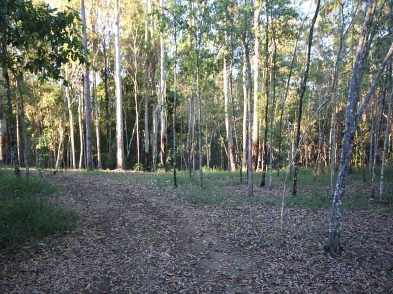 24 Koala Crescent, Lake Macdonald QLD 4563