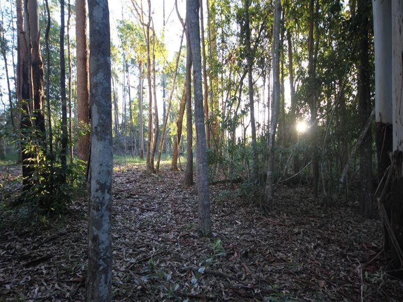24 Koala Crescent, Lake Macdonald QLD 4563