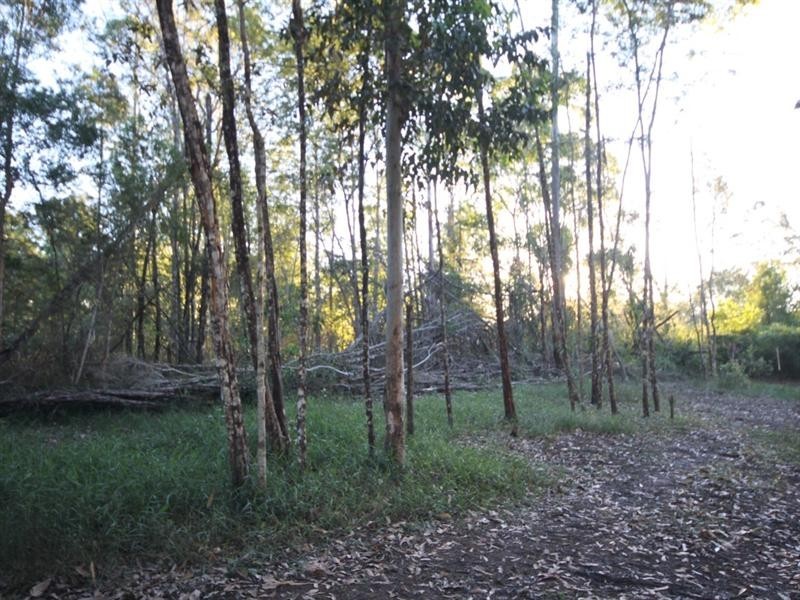 24 Koala Crescent, Lake Macdonald QLD 4563