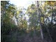 24 Koala Crescent, Lake Macdonald QLD 4563
