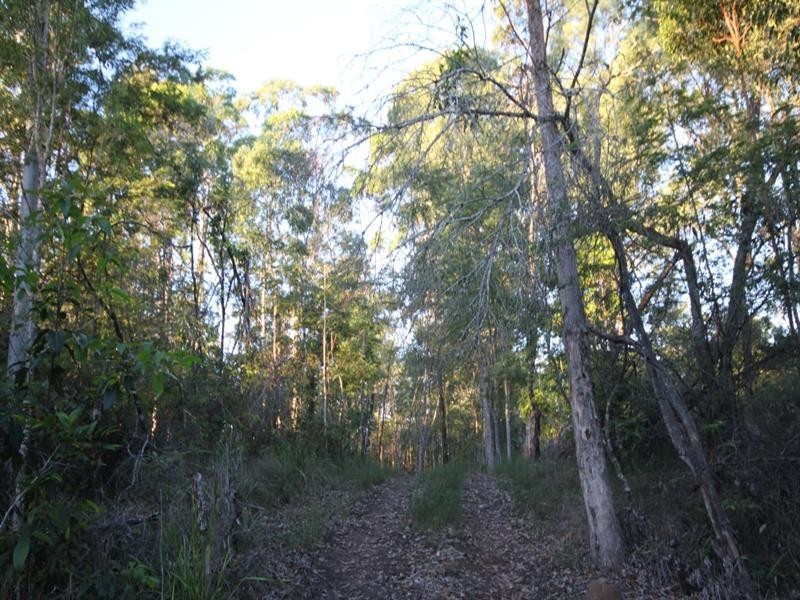 24 Koala Crescent, Lake Macdonald QLD 4563