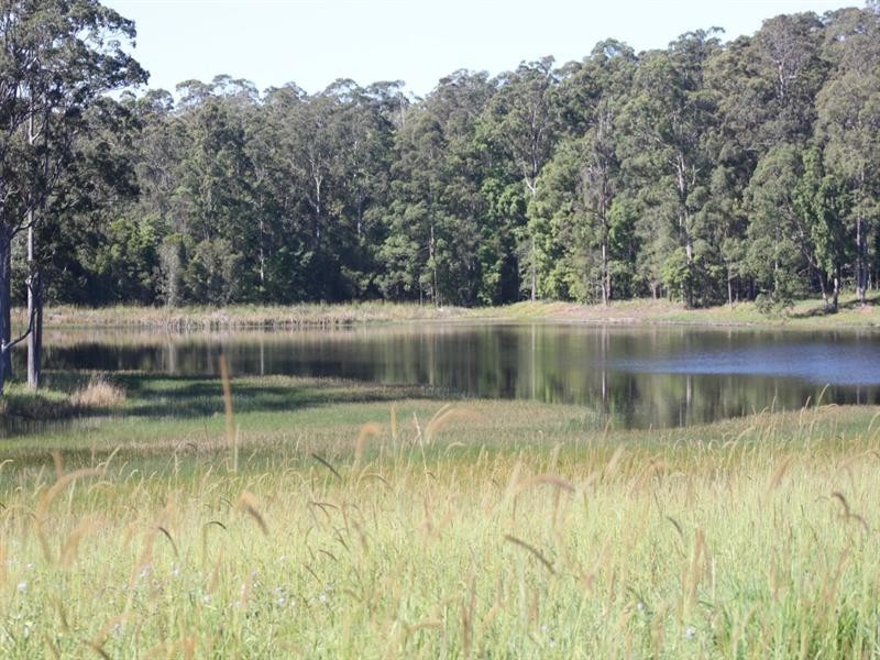 Lot 3 Seib Road, Eumundi QLD 4562