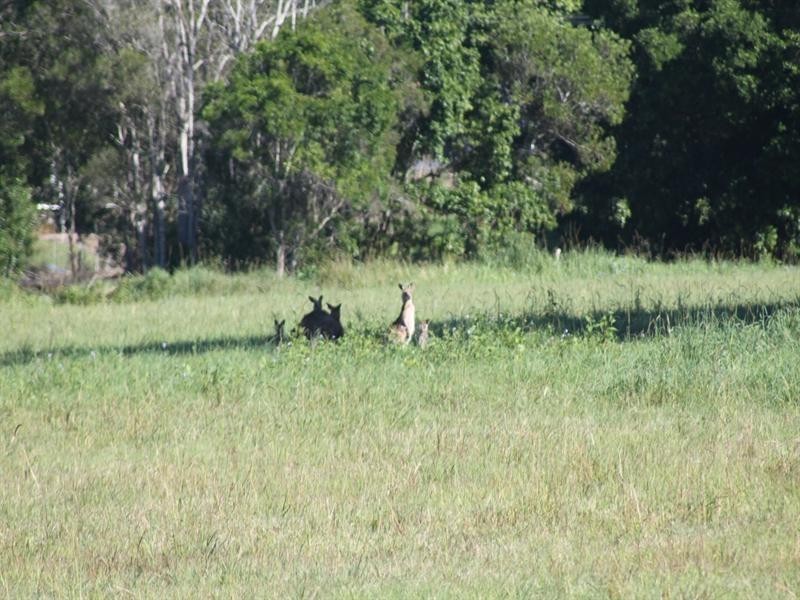Lot 3 Seib Road, Eumundi QLD 4562