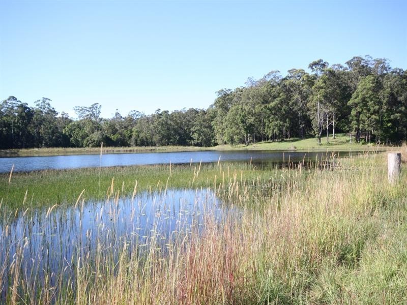 Lot 3 Seib Road, Eumundi QLD 4562
